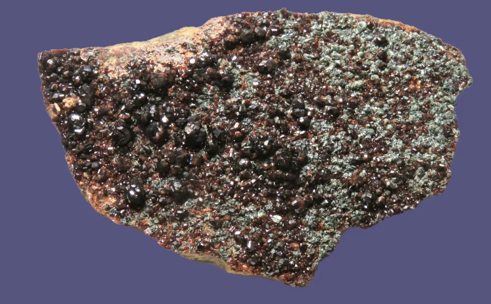 Hessonite garnets on Clinochlore