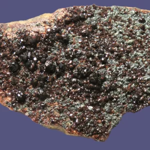 Hessonite garnets on Clinochlore